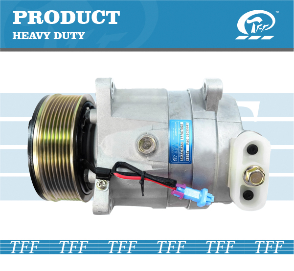 TFF077002 SHACMAN V5 24V(SD LEG)6PK
