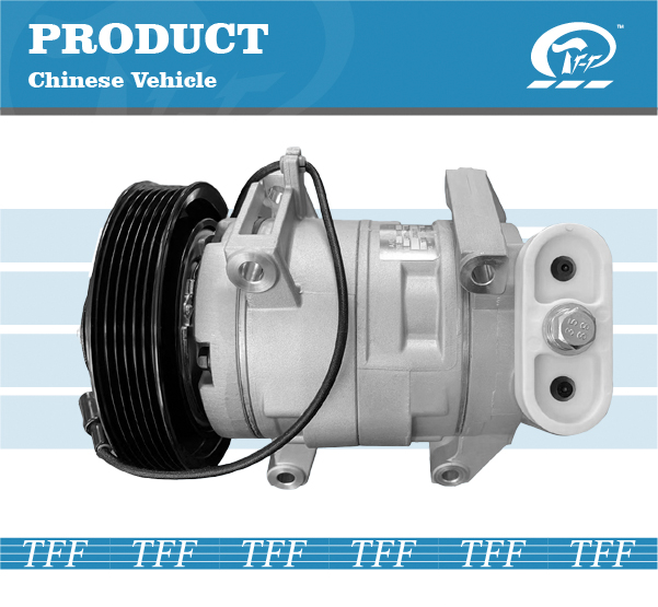 TFF090001 SANY 6PK