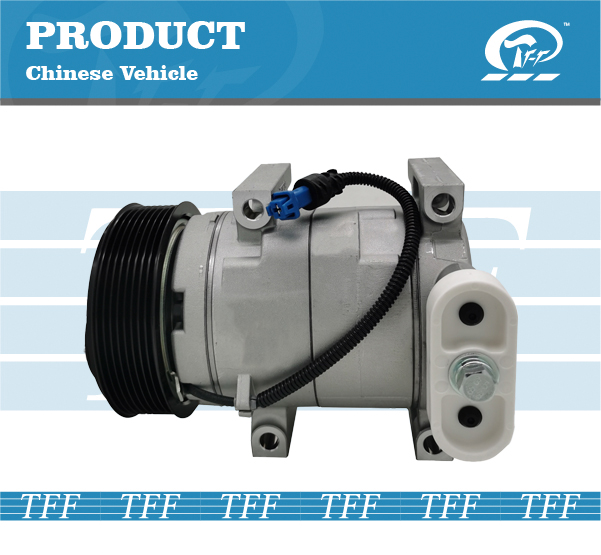 TFF090002 SHACMAN HD17 8PK LHD17A019-2